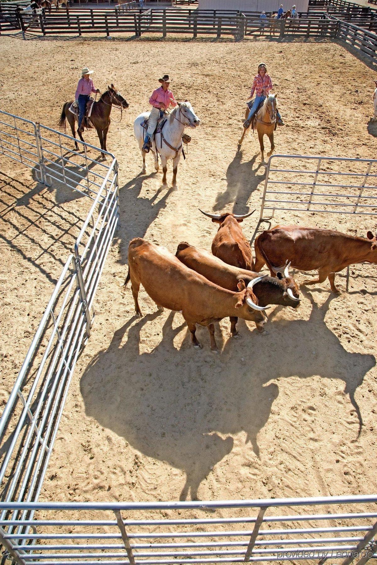 Rancho De Los Caballeros Wickenburg Esterno foto