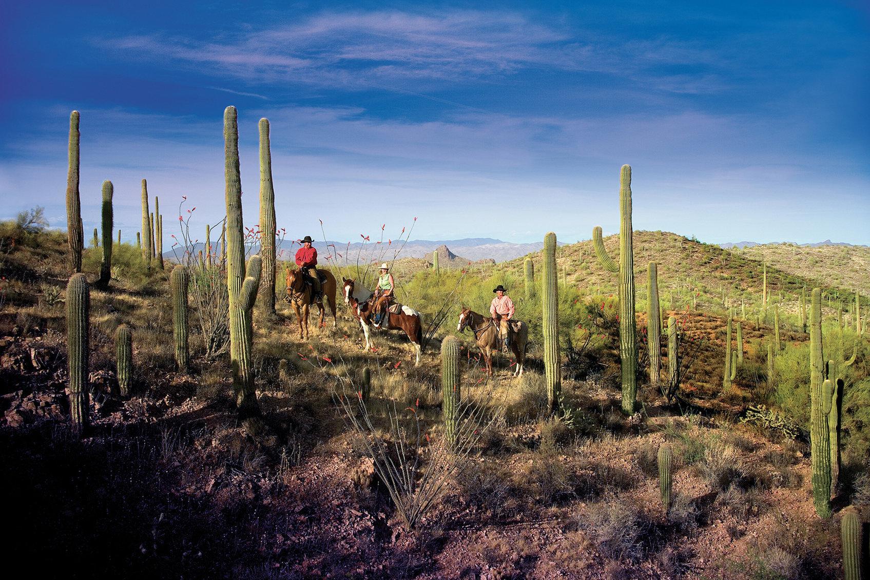 Rancho De Los Caballeros Wickenburg Esterno foto